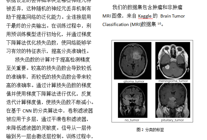 基于卷积神经网络的脑肿瘤分类 - 天一の网站